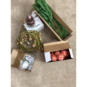 Assorted Christmas DIY Craft Supplies Set* Branches*Ornaments*Acrylic Paints*NIB